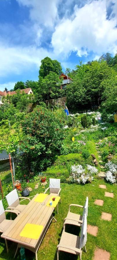 Ferienwohnung Casa Sperantei Sighişoara Exterior foto