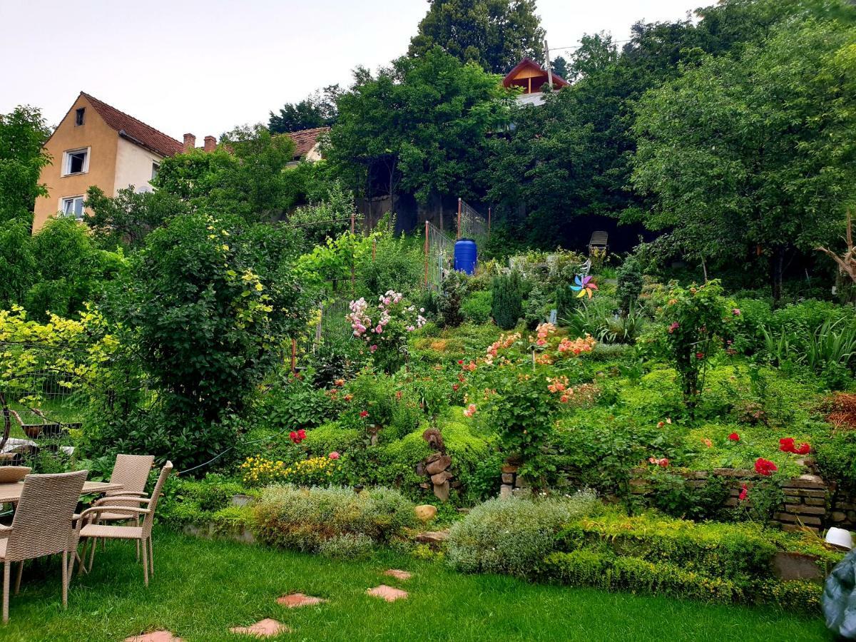 Ferienwohnung Casa Sperantei Sighişoara Exterior foto